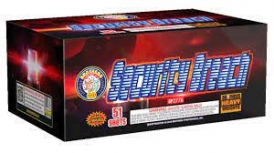 BROTHERS SECURITY BREACH: Dapkus Fireworks Company